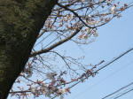0318_418s200322.jpg