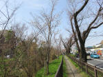 0320_kn4s200322.jpg