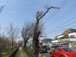 0323_414s200322.jpg