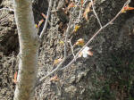 0324_414s200322.jpg