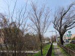 0326_kn1s200322.jpg