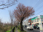 0330_411s200322.jpg