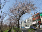 0333_408s200322.jpg