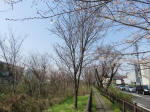 0336_n34s200322.jpg