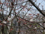 0337_n34s200322.jpg