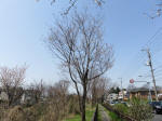 0345_n14s200322.jpg