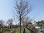 0351_n12s200322.jpg