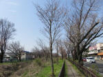 0354_n10s200322.jpg