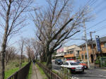 0357_392s200322.jpg