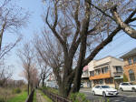 0360_391s200322.jpg