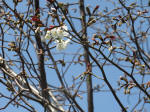 0361_391s200322.jpg