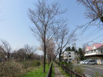 0363_n8s200322.jpg
