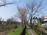 0366_n7s200322.jpg