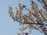 0367_n7s200322.jpg
