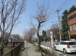 0369_377s200322.jpg