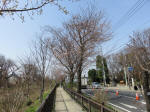 0375_375s200322.jpg
