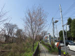 0381_n55s200322.jpg