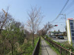 0384_n54s200322.jpg