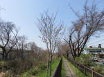 0387_n52s200322.jpg