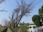 0400_368s200322.jpg