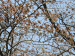 0401_368s200322.jpg