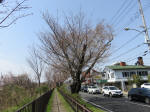 0403_365s200322.jpg