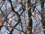0407_361s200322.jpg
