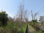 0409_n44s200322.jpg