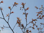 0410_n44s200322.jpg
