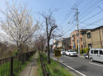 0422_351s200322.jpg