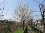 0426_n32s200322.jpg
