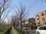 0430_349s200322.jpg