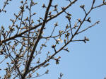 0431_349s200322.jpg