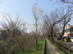 0433_21s200322.jpg