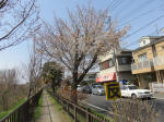 0439_345s200322.jpg