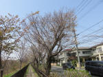 0442_341s200322.jpg