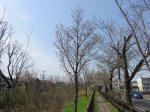 0445_n23s200322.jpg