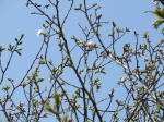 0449_336s200322.jpg