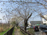 0451_335s200322.jpg
