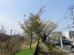 0454_n20s200322.jpg