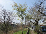 0463_n17s200322.jpg