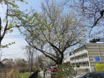 0465_330s200322.jpg