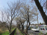 0468_326s200322.jpg