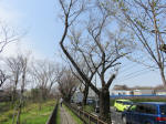 0480_320s200322.jpg