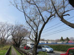 0486_319s200322.jpg
