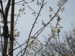 0490_kn50s200322.jpg
