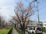 0505_313s200322.jpg