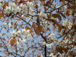 0506_313s200322.jpg