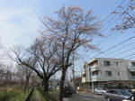 0508_312s200322.jpg