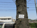 0510_312s200322.jpg